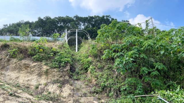 新竹寶山農地-15