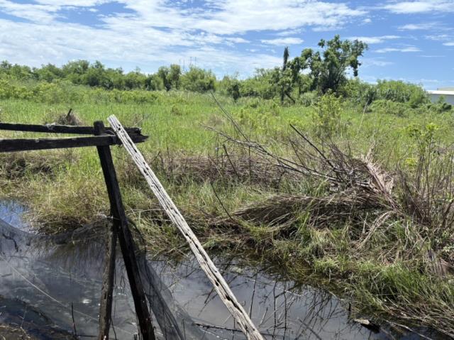 台南安南農地-6