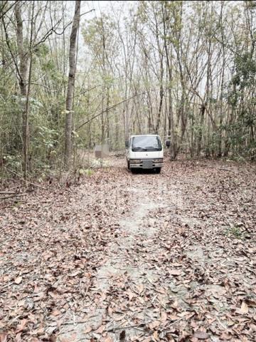 台南龍崎農地-3