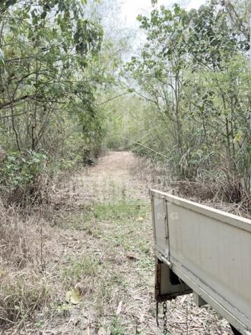 台南龍崎農地-4