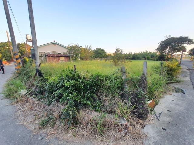 台南佳里農地-6