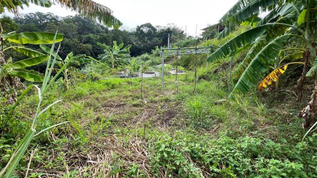 新竹寶山農地-13