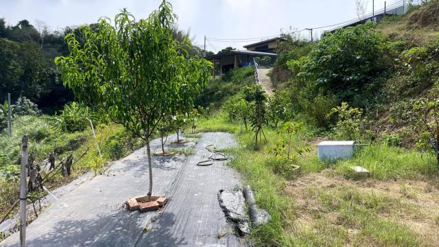 新竹寶山農地-7