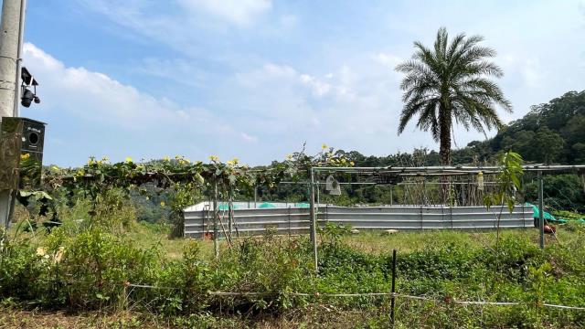 新竹寶山農地-9