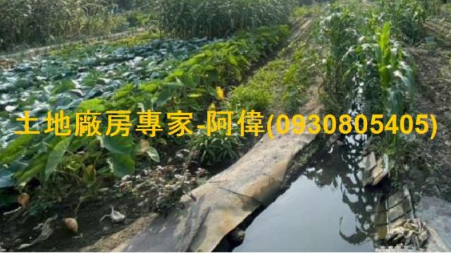 高雄大寮農地-1