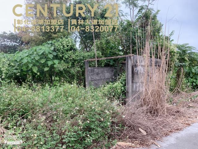 彰化溪湖農地-3