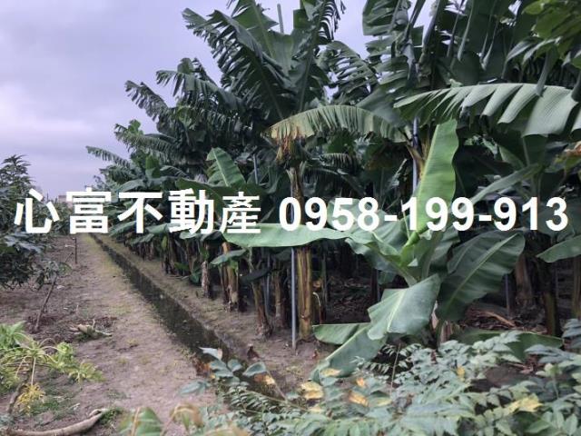 高雄大寮建地-1