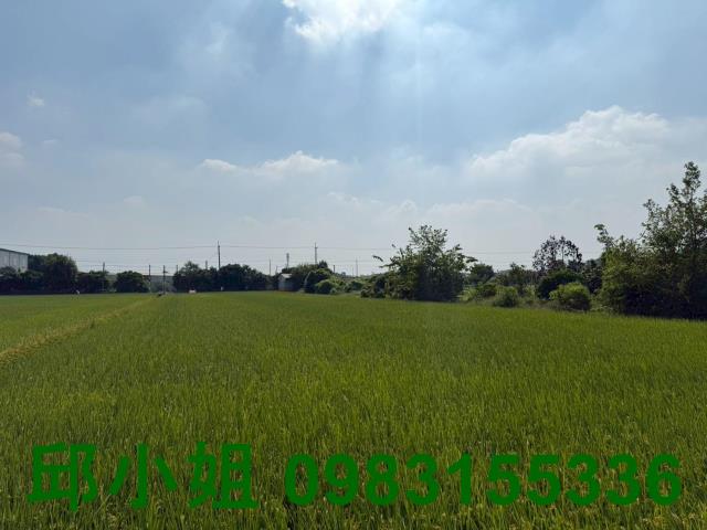 斗六農地-1
