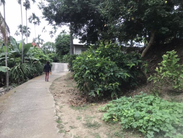 台中太平農地-4