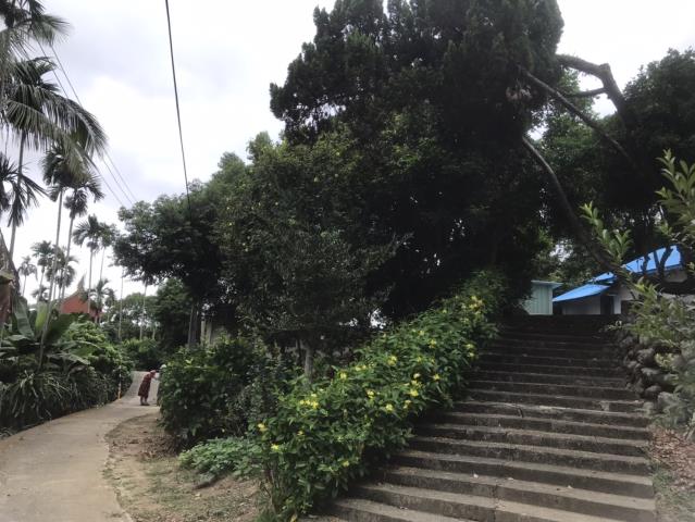 台中太平農地-5