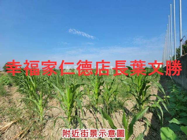 台南麻豆農地-6