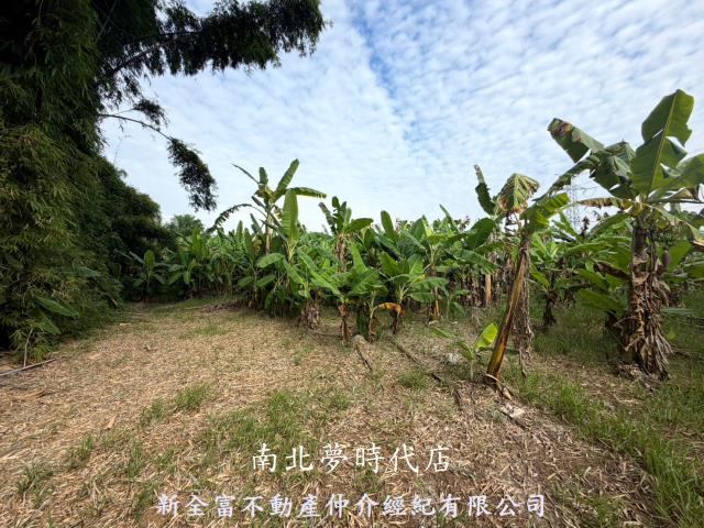 台南左鎮農地-1