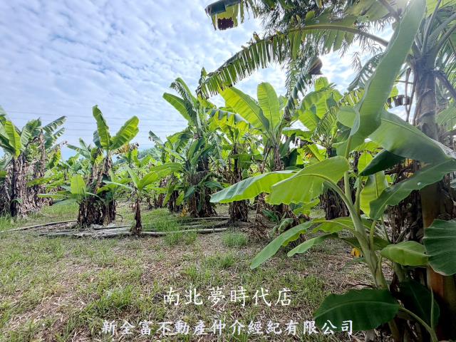 台南左鎮農地-4