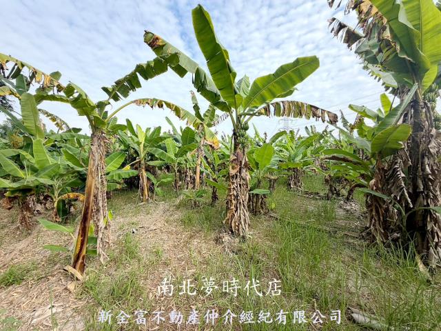 台南左鎮農地-9