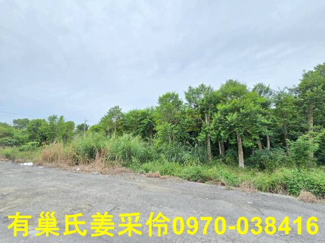 嘉義民雄農地-13