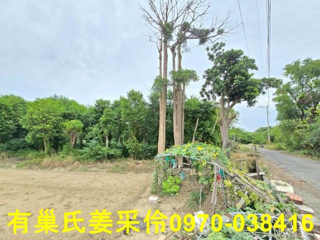 嘉義民雄農地-4