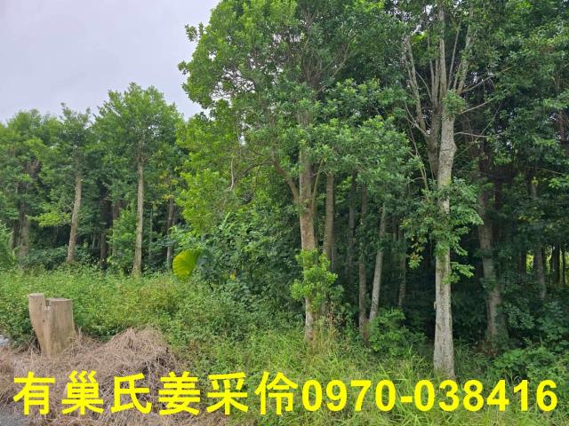 嘉義民雄農地-9