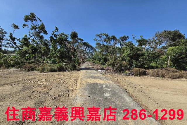 嘉義水上農地-3