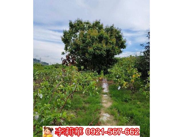 高雄岡山農地-9