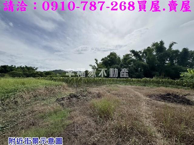 台南農地-8