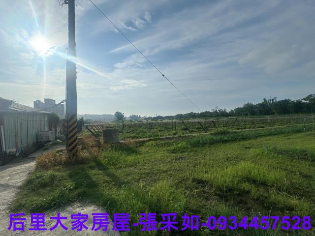台中后里農地-3