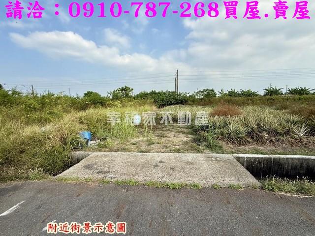 台南新市農地-11