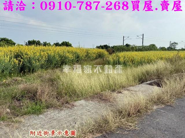 台南新市農地-8