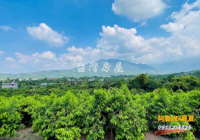 嘉義農地-8