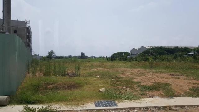 桃園觀音工業地-1