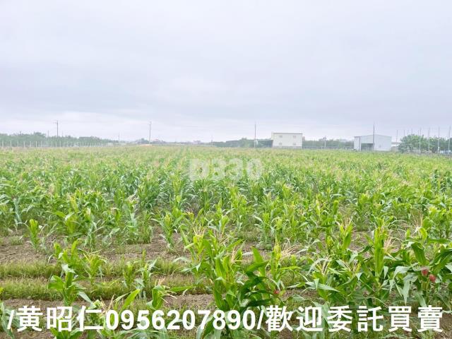 台南農地-6