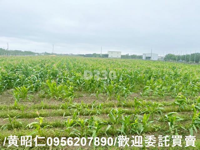 台南農地-8