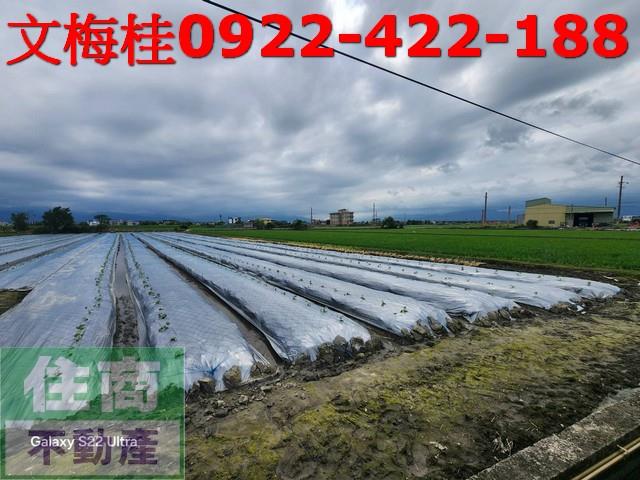 宜蘭壯圍農地-4