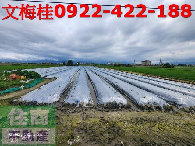 宜蘭壯圍農地-5