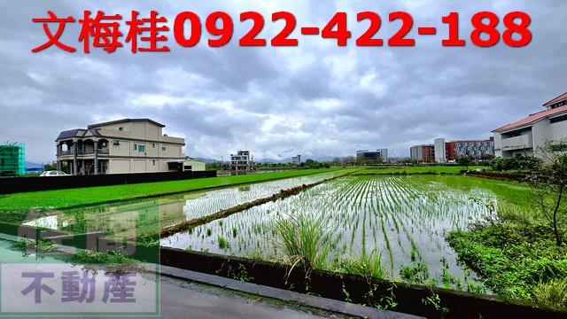 宜蘭宜蘭市農地-7