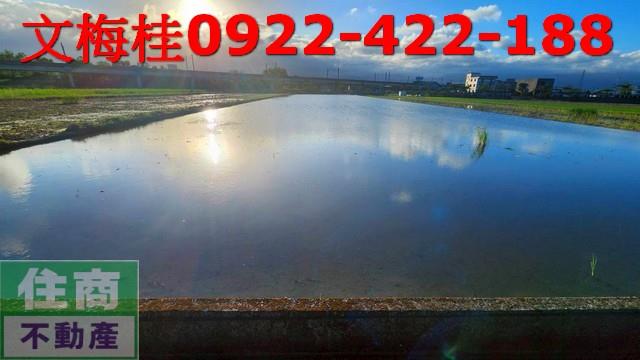 宜蘭宜蘭市農地-7