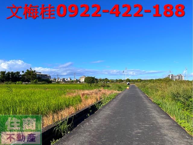 宜蘭宜蘭市農地-9