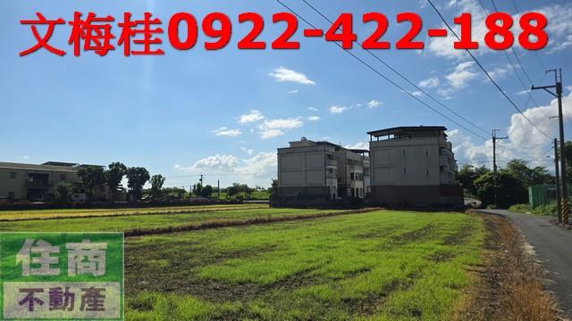 宜蘭宜蘭市農地-1