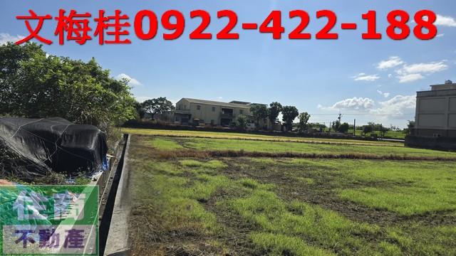 宜蘭宜蘭市農地-2