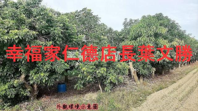 台南安定農地-10