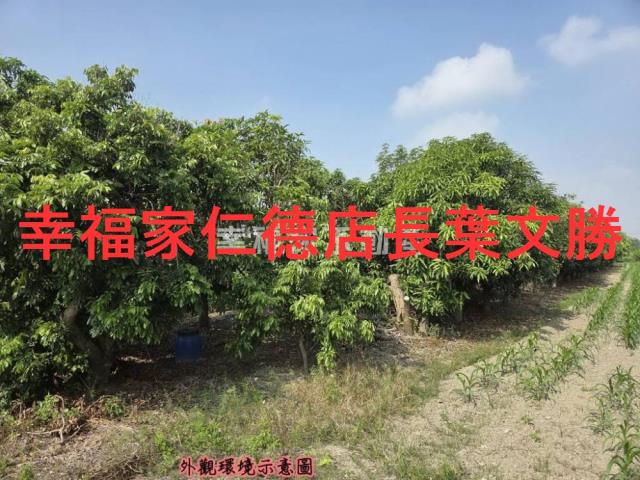 台南安定農地-7