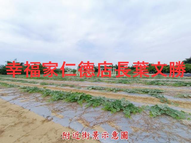 台南歸仁農地-8