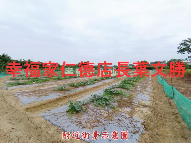 台南官田農地-2