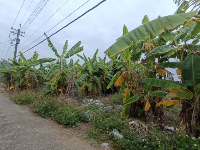 台南玉井農地-5