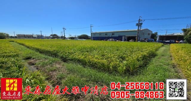 台中神岡農地-5