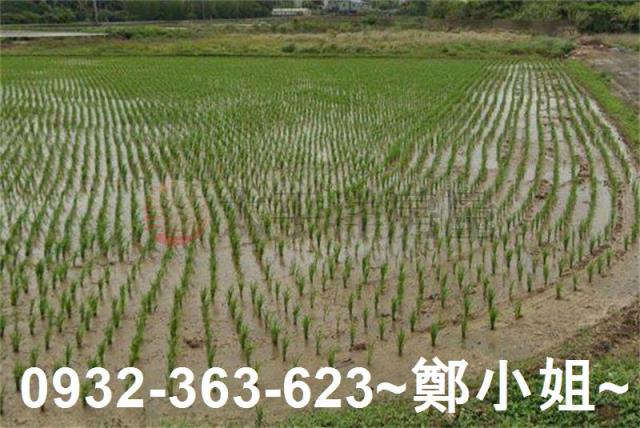 桃園楊梅農地-1