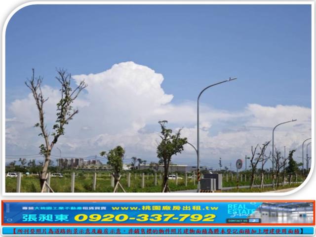 桃園大園建地-1