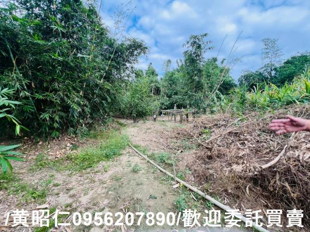 台南農地-10