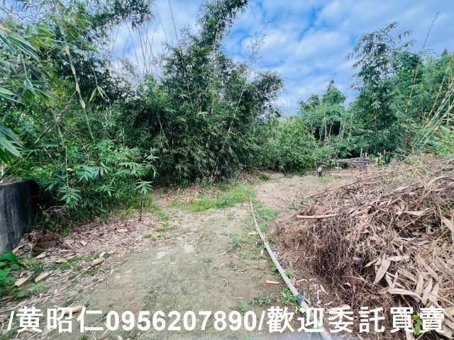 台南農地-13