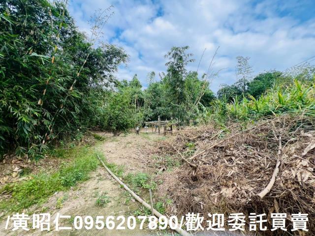 台南農地-8