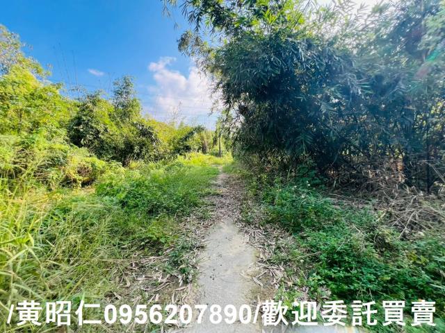 台南農地-7